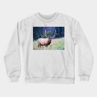 Bull Elk Crewneck Sweatshirt